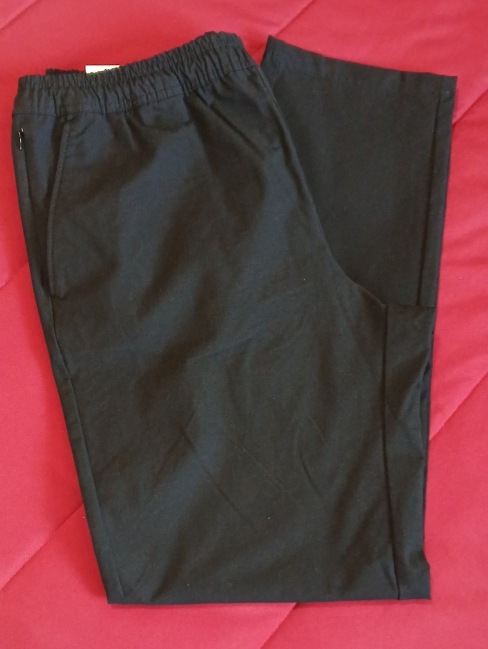 Free Assembly Men's L Straight Fit Tapered Leg Pull On Commuter Pants